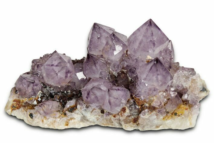 Deep-Purple Cactus Amethyst Crystal Cluster - South Africa #337608